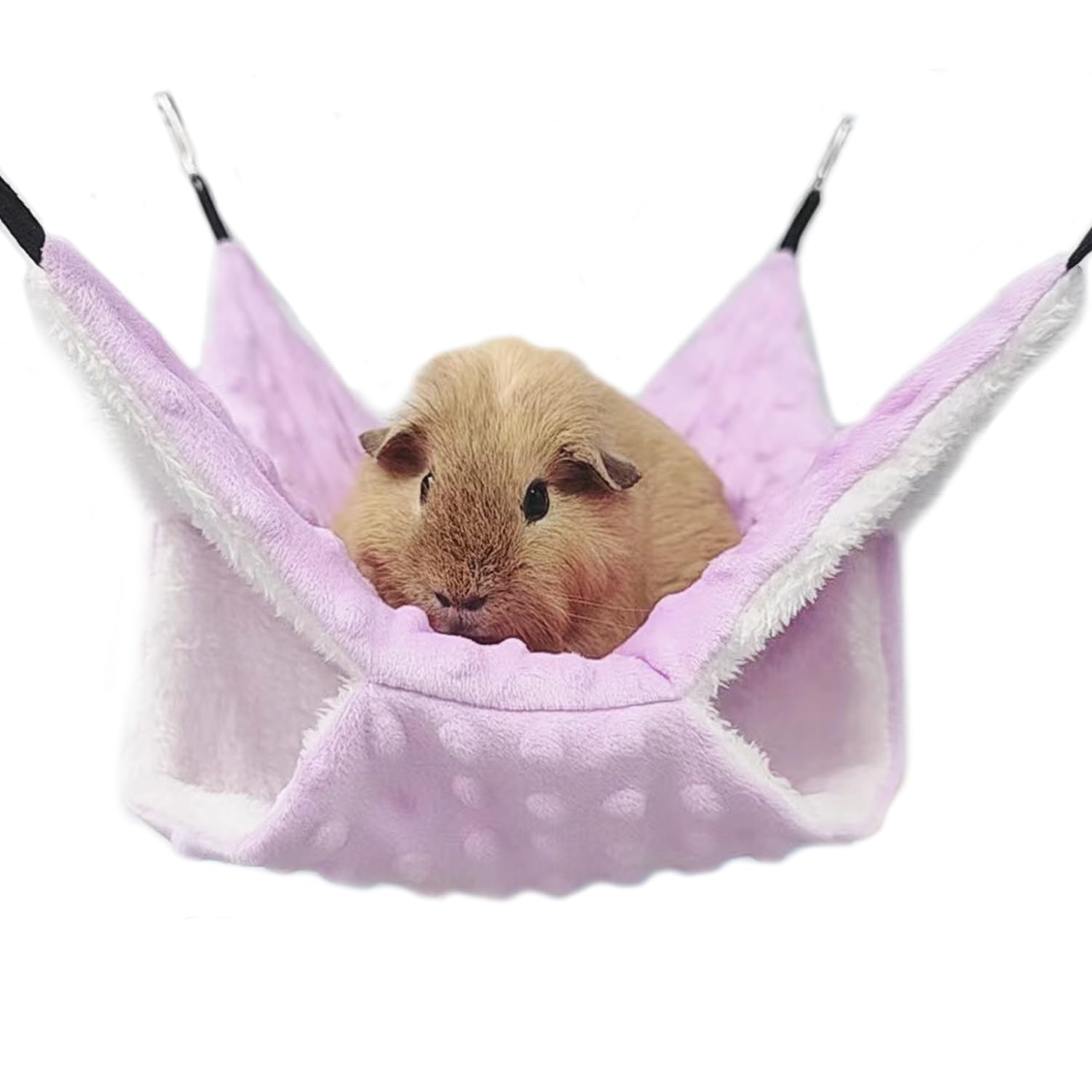 Amazon | デグー ハンモックベッド 暖かい 2層 ハムスター モルモット